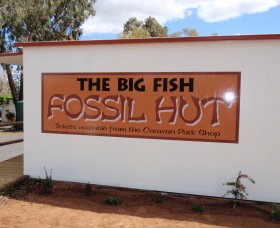 Big Fish Fossil Hut At Peak Hill - Palm Beach Accommodation 0