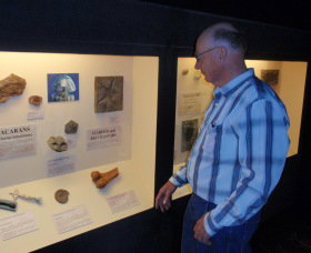 Big Fish Fossil Hut At Peak Hill - Palm Beach Accommodation 1