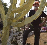 Cactus Country - Palm Beach Accommodation