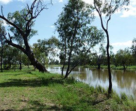 Seplin Estate Wines - Palm Beach Accommodation 1