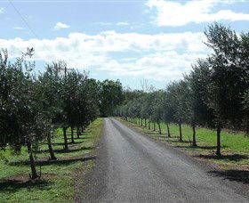 Seplin Estate Wines - Palm Beach Accommodation 3