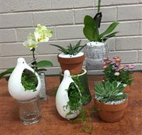 Cobram Florist - Palm Beach Accommodation