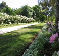 Barooga Botanical Gardens - Palm Beach Accommodation