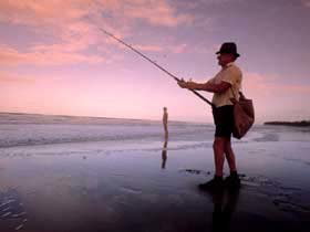 Sarina Beach - Palm Beach Accommodation 3