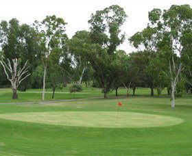 Moree Golf Club - Palm Beach Accommodation 0
