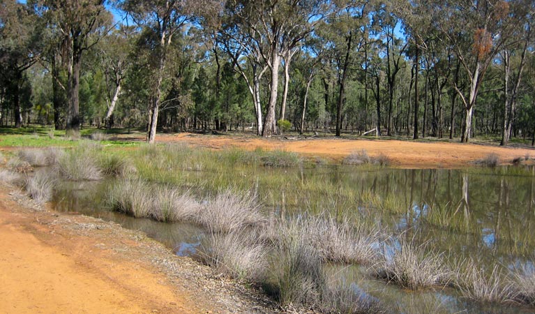 Beni NSW Palm Beach Accommodation