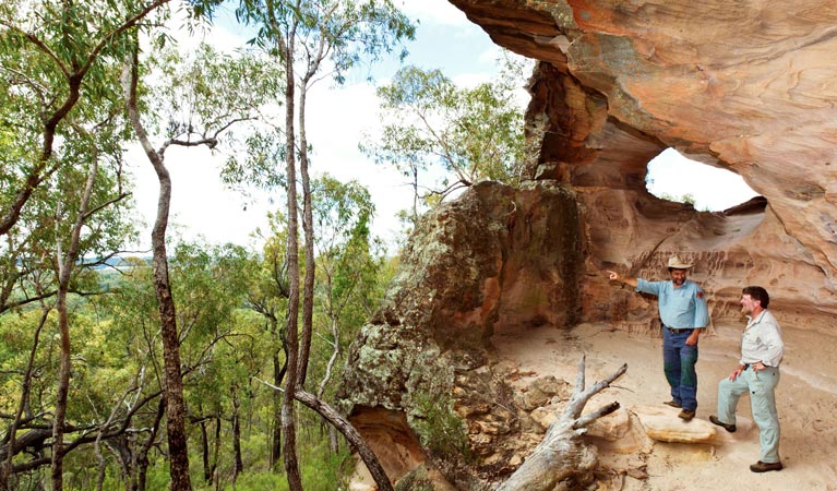 Dandry NSW Palm Beach Accommodation