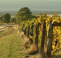 Captains Creek Organic Wines - Palm Beach Accommodation