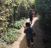 The Tangled Maze  Mistydowns Nursery - Palm Beach Accommodation