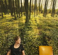 Port Fairy Massage - Palm Beach Accommodation