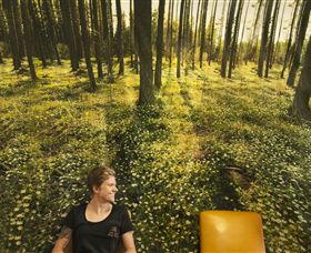 Port Fairy Massage - Palm Beach Accommodation 0