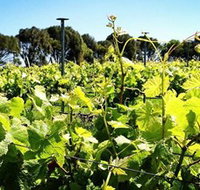 Basalt Wines - Palm Beach Accommodation