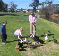 Roy Little Park Merredin - Palm Beach Accommodation