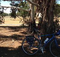Murchison Rail Trail - Palm Beach Accommodation