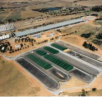 Co-operative Bulk Handling CBH Wheat Storage and Transfer Depot - Palm Beach Accommodation