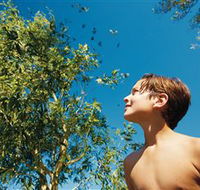 Bushwalking on Keswick Island - Palm Beach Accommodation