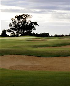 Black Bull Golf Club - Palm Beach Accommodation 0