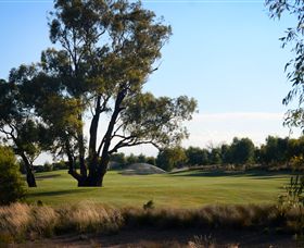 Black Bull Golf Club - Palm Beach Accommodation 2