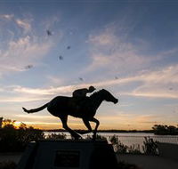 Black Caviar Statue - Palm Beach Accommodation