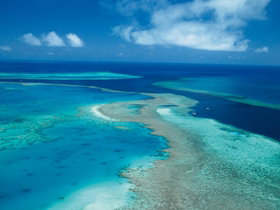 Fairey Reef - Palm Beach Accommodation 2