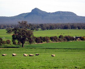 The Rock Nature Reserve - Palm Beach Accommodation 0