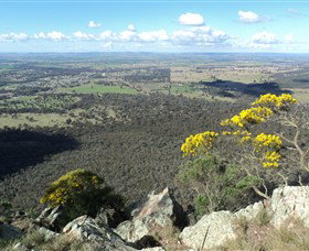 The Rock Nature Reserve - Palm Beach Accommodation 4