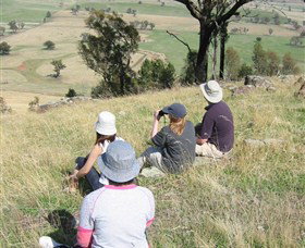The Rock Nature Reserve - Palm Beach Accommodation 2