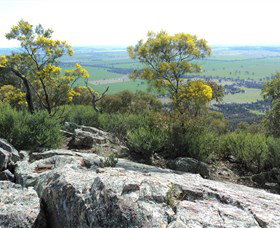 The Rock Nature Reserve - Palm Beach Accommodation 6