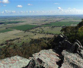 The Rock Nature Reserve - Palm Beach Accommodation 5