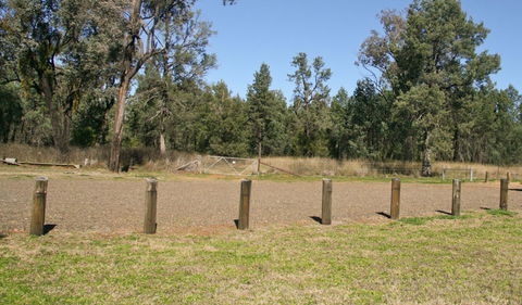 Terry Hie Hie Picnic Area - Palm Beach Accommodation 2