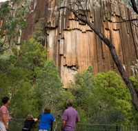 Sawn Rocks walking track - Palm Beach Accommodation