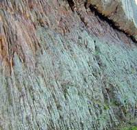 The Rock Nature Reserve - Kengal Aboriginal Place - Palm Beach Accommodation