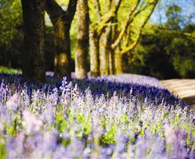 Duneira, Mt Macedon - Palm Beach Accommodation 4