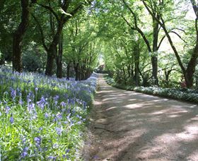 Duneira, Mt Macedon - Palm Beach Accommodation 3