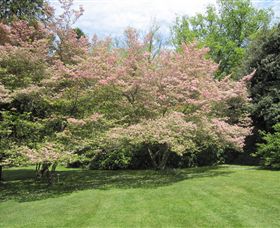 Duneira, Mt Macedon - Palm Beach Accommodation 7