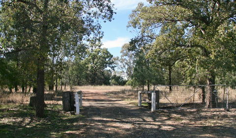 Terry Hie Hie Aboriginal Area - Palm Beach Accommodation 2