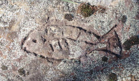 Terry Hie Hie Aboriginal Area - Palm Beach Accommodation 3