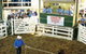 Gracemere Exhibition Complex - thumb 0