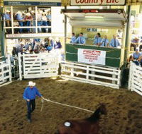 Gracemere Exhibition Complex - Palm Beach Accommodation