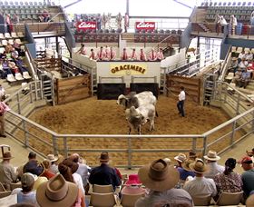 Gracemere Exhibition Complex - Palm Beach Accommodation 1
