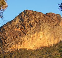 Kaputar scenic drive - Palm Beach Accommodation