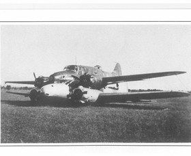 Avro Anson Landing Site - Palm Beach Accommodation 0