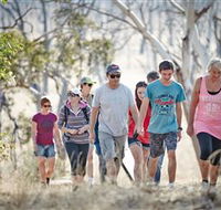 Winton Wetlands Reserve - Palm Beach Accommodation