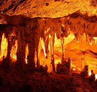 Capricorn Caves - Palm Beach Accommodation