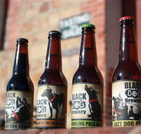 Black Dog Brewery - Palm Beach Accommodation