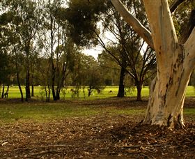 Benalla Golf Club - Palm Beach Accommodation 2