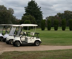 Benalla Golf Club - Palm Beach Accommodation 3