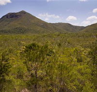 Kutini-Payamu Iron Range National Park CYPAL - Palm Beach Accommodation