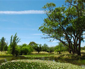 Wirraminna Environmental Education Centre - Palm Beach Accommodation 0