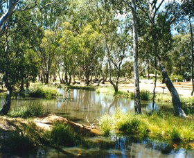 Wirraminna Environmental Education Centre - Palm Beach Accommodation 2